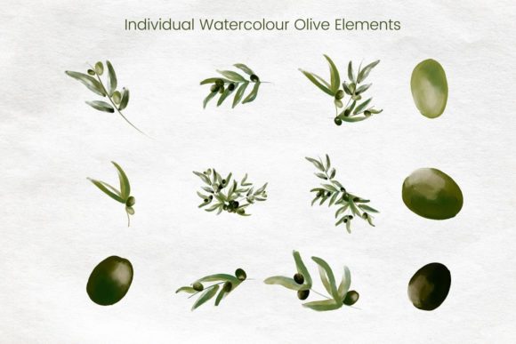Watercolour Olive Branch with Gold Frame: A Designer's Guide